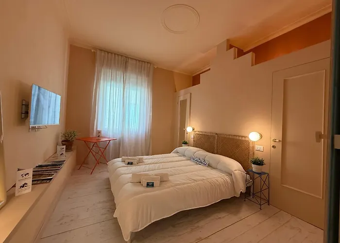 House Farorosmarino By World